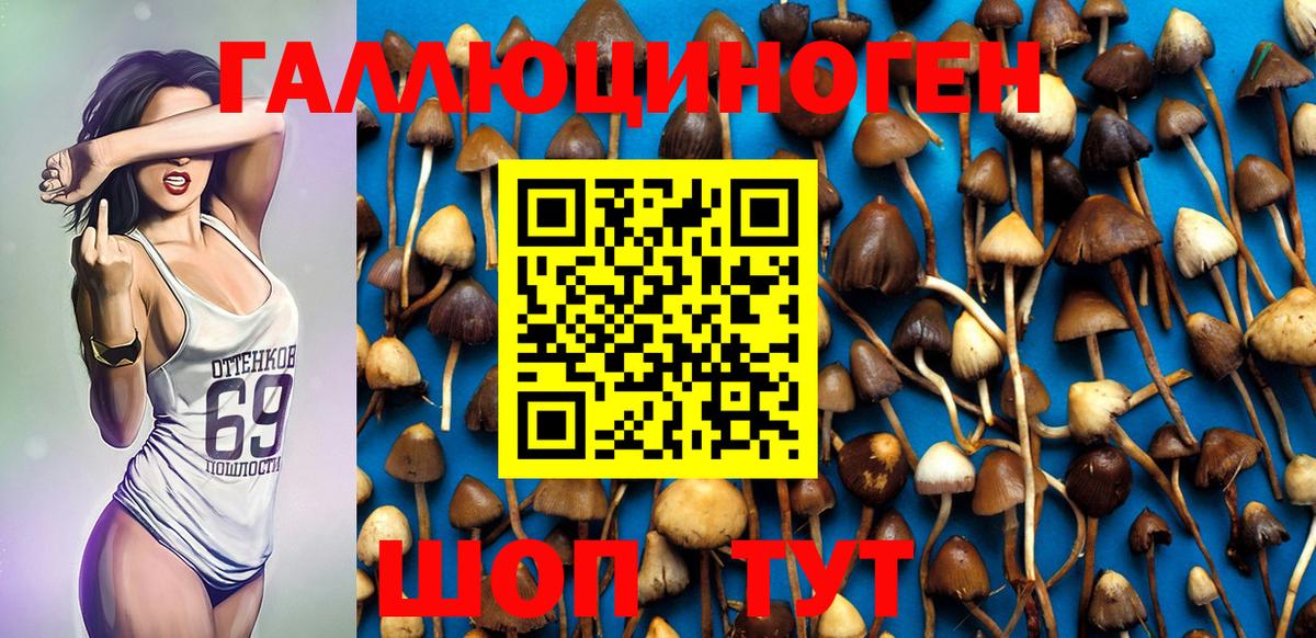 Псилоцибиновые грибы Psilocybe  Псилоцибиновые грибы Psilocybine cubensis  Вход с VPN  Каспийск 