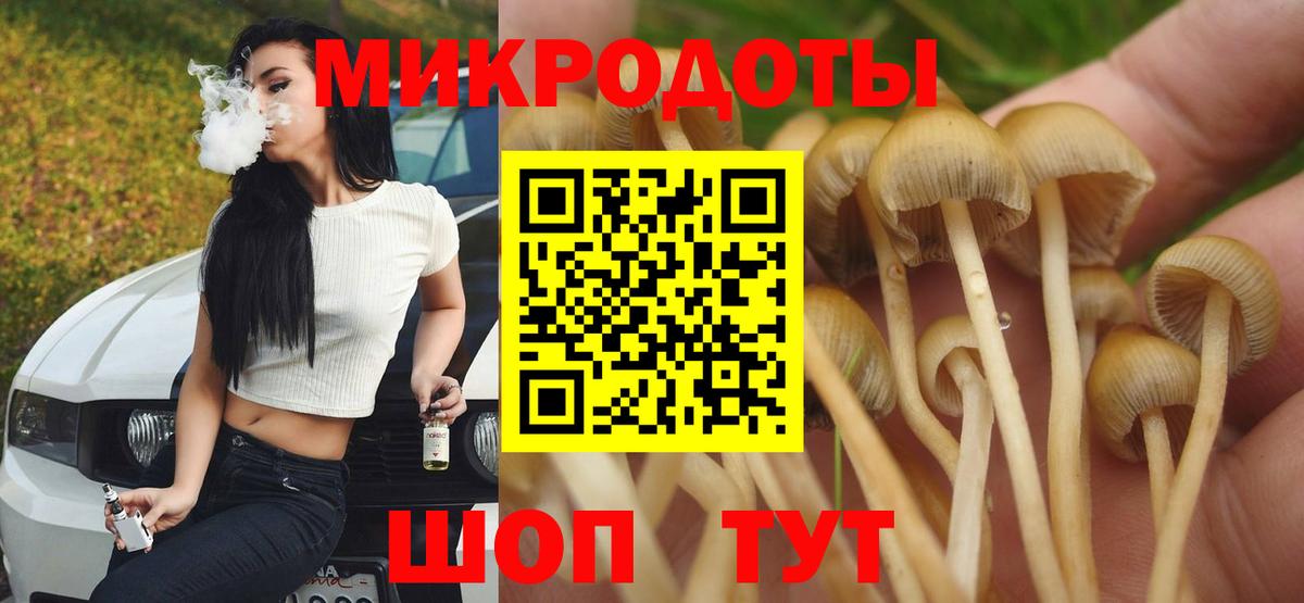 Галлюциногенные грибы Psilocybine cubensis  Каспийск 