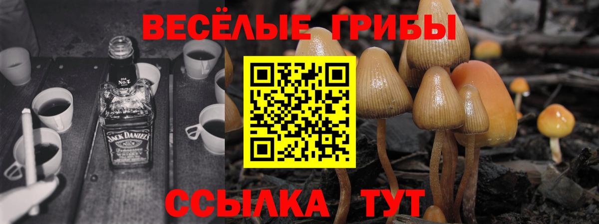 Псилоцибиновые грибы MAGIC MUSHROOMS Каспийск
